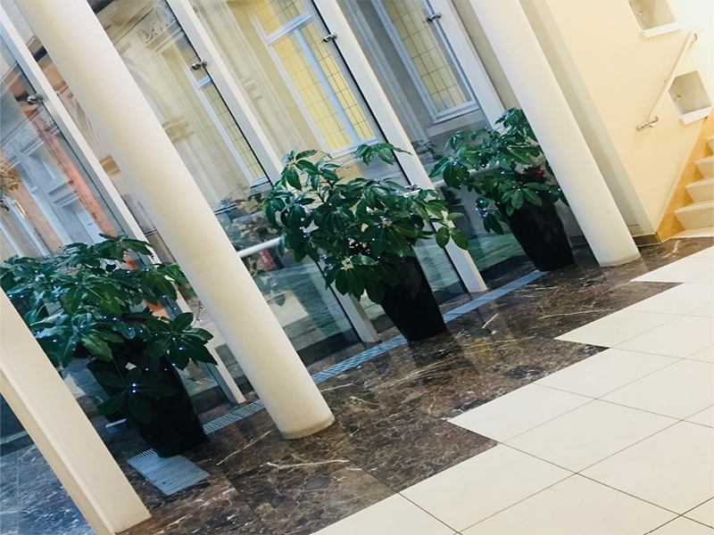 The Bourse Entrance